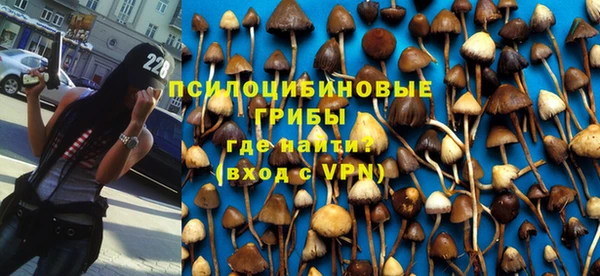 соль курить ск Богданович