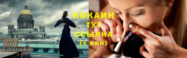 твердый Богородск