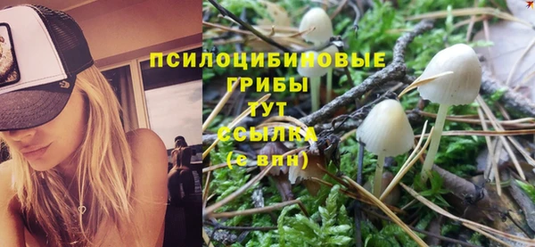 твердый Богородск
