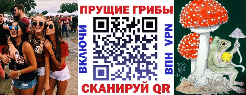 Купить где  Семёнов  Галлюциногенные грибы MAGIC MUSHROOMS 